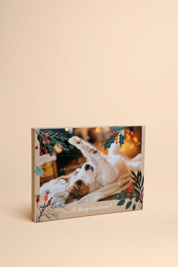Calendrier de l'Avent pour chiens