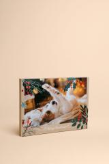 Calendrier de l'Avent pour chiens